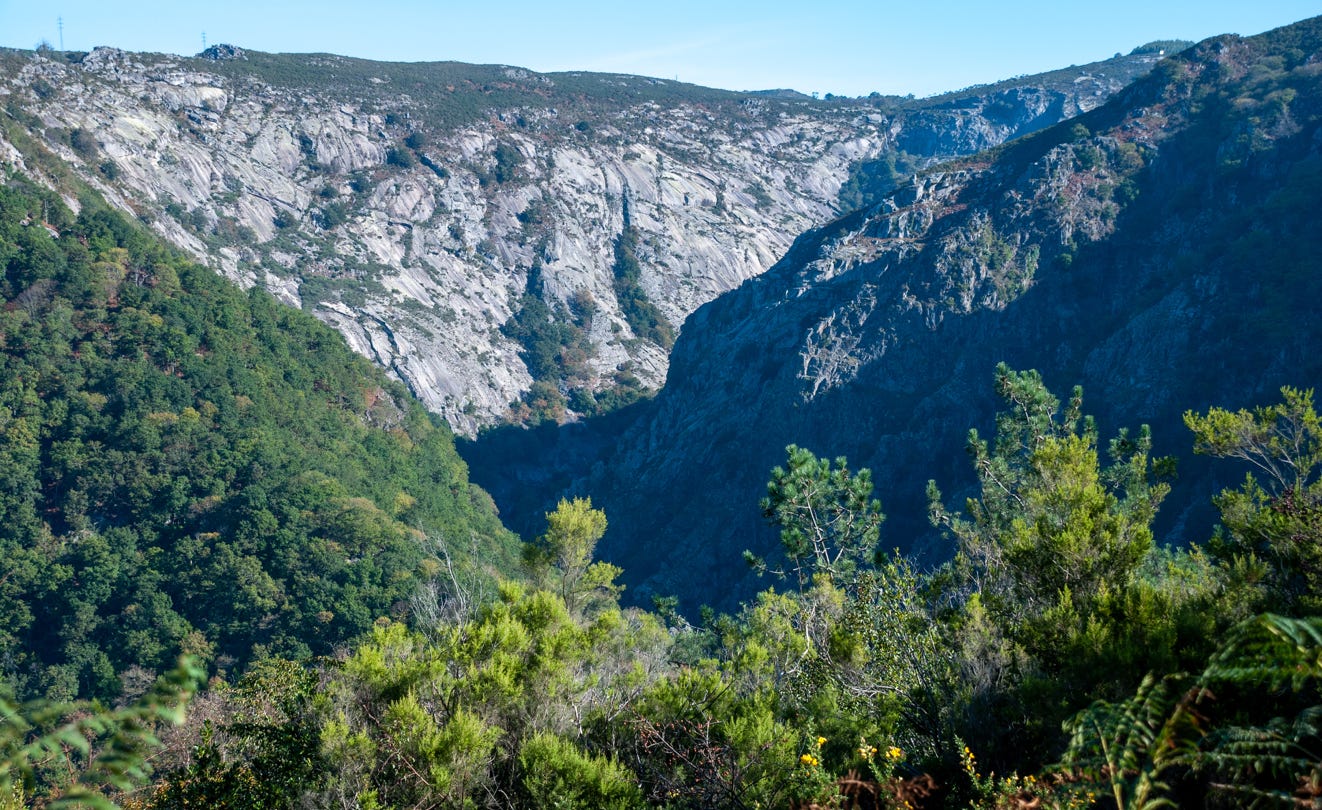 Fragas do Eume. El bosque atlántico de Europa